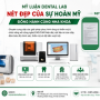 Mỹ Luân Dental Lab - Labo Răng Sứ Chuẩn Y Khoa Quốc Tế