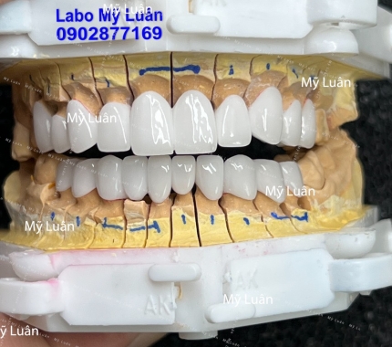 Xin kính chúc quý khách hàng 8/3 vui vẻ ạ.